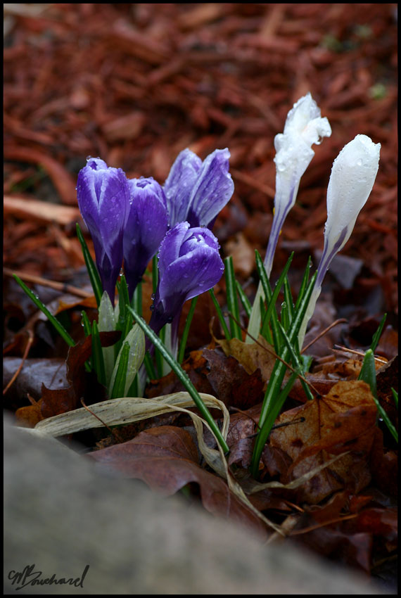 Because it's expected..