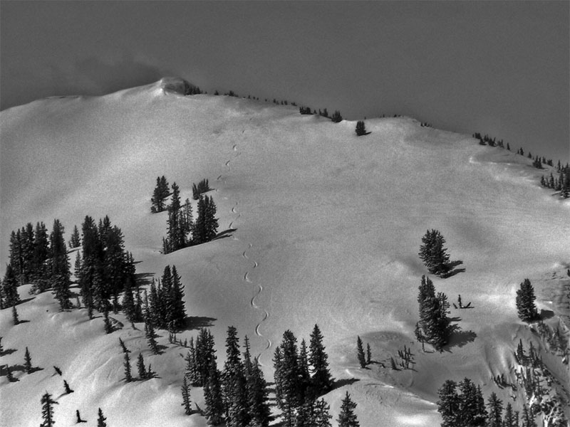 Been having a hard time with this shot