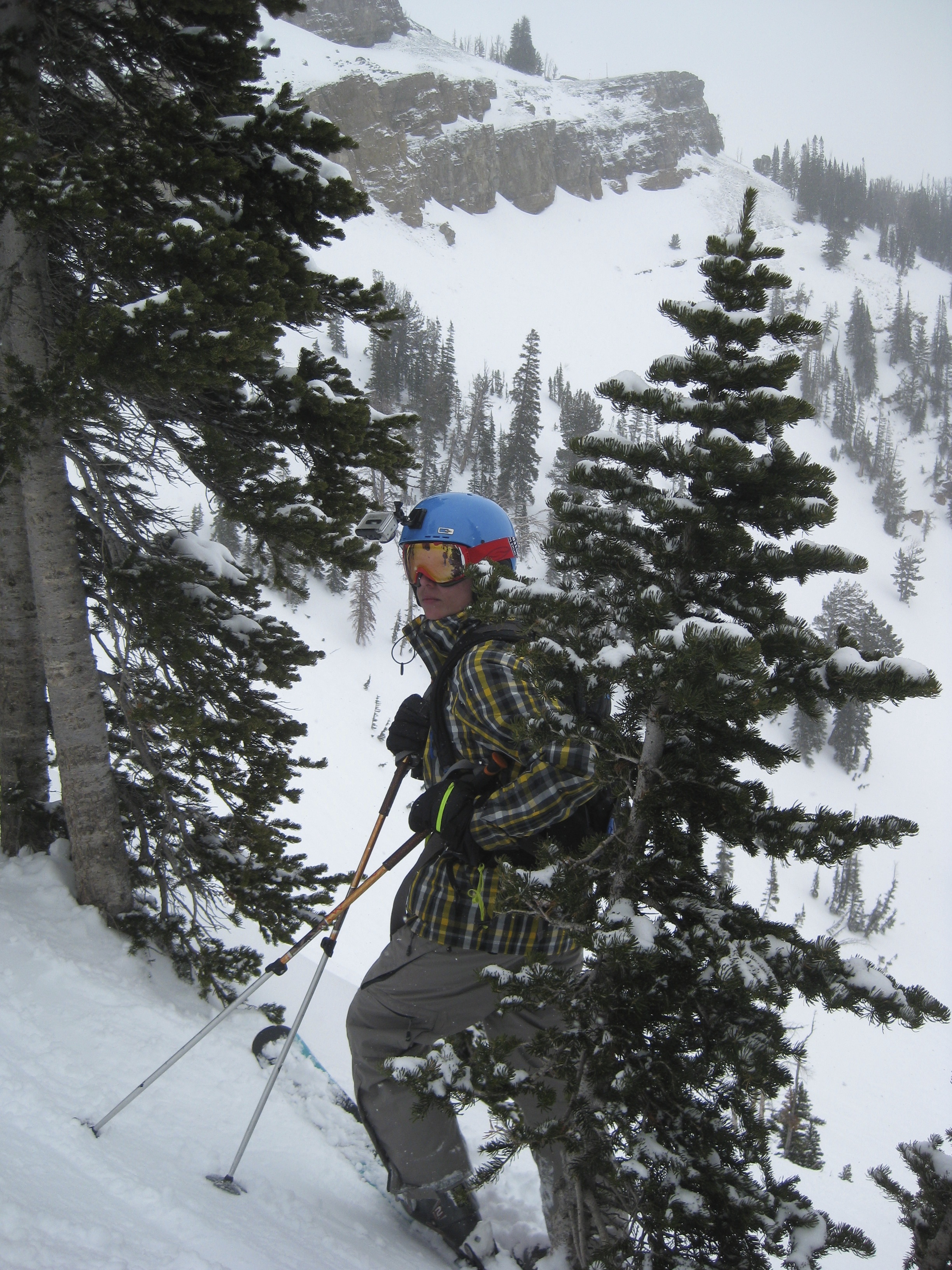 "Been High in the Rockies...Under the evergreens!"