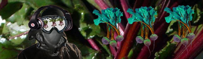 Beets