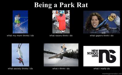 being a park rat meme