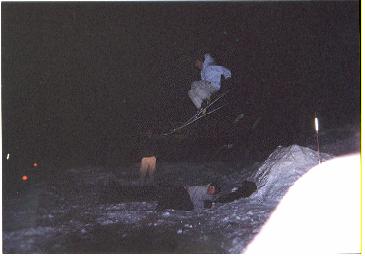 benny's tail over the driveway