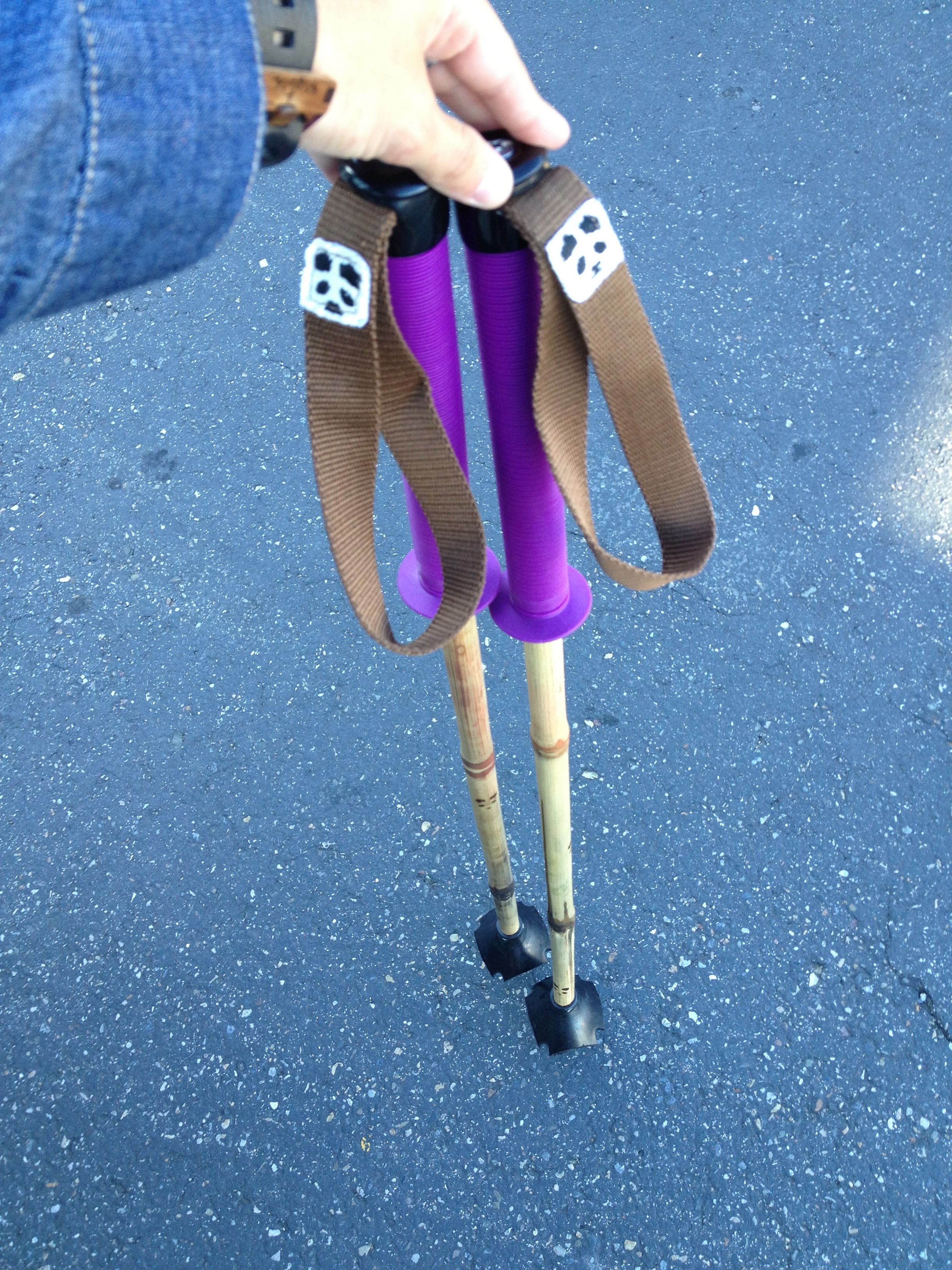 Best Ski Poles Around PANDA!