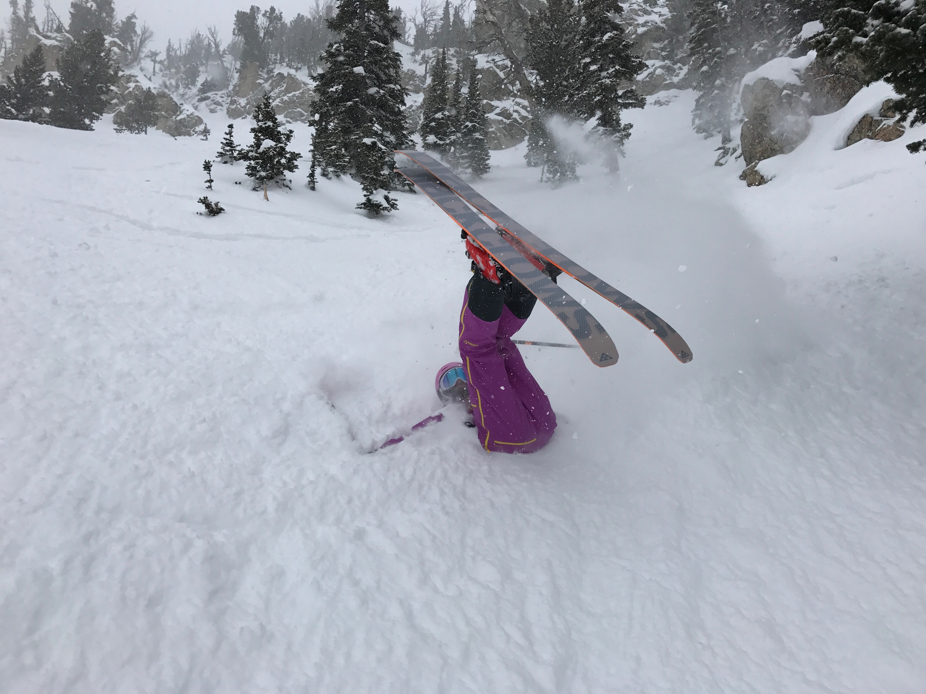 Better luck next year