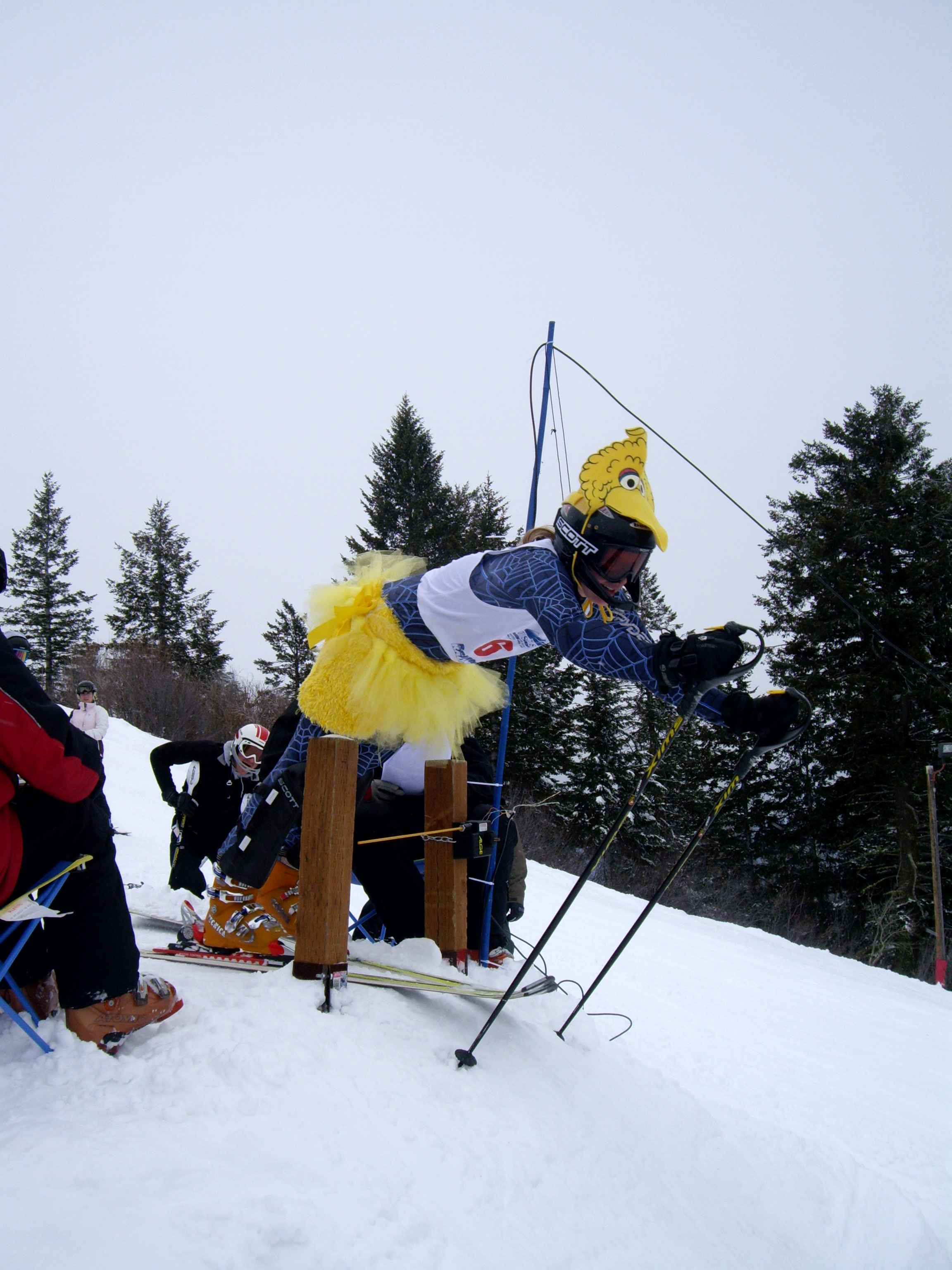 Big bird makin top 15 hollerrr