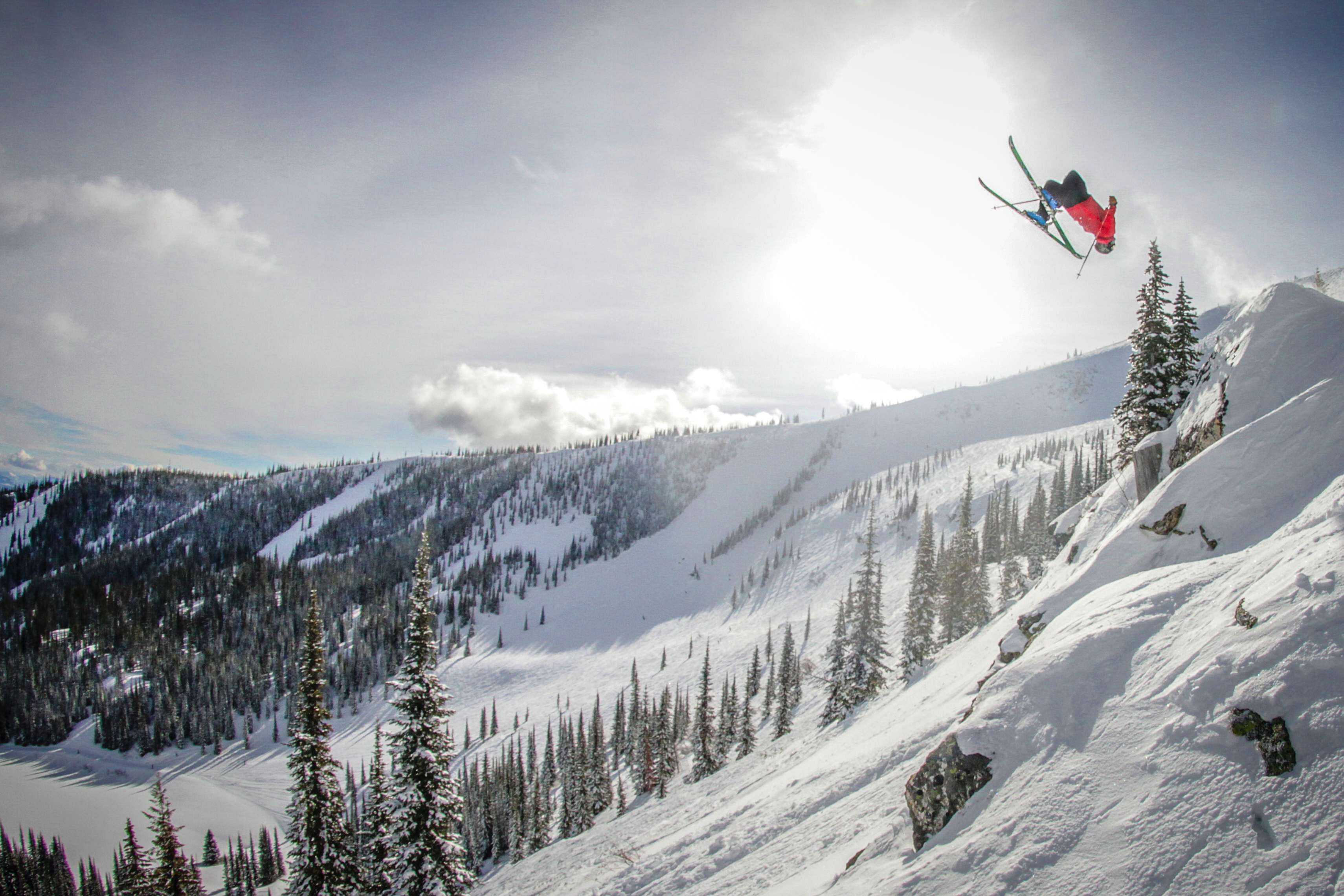 Big Bluebird Backflip