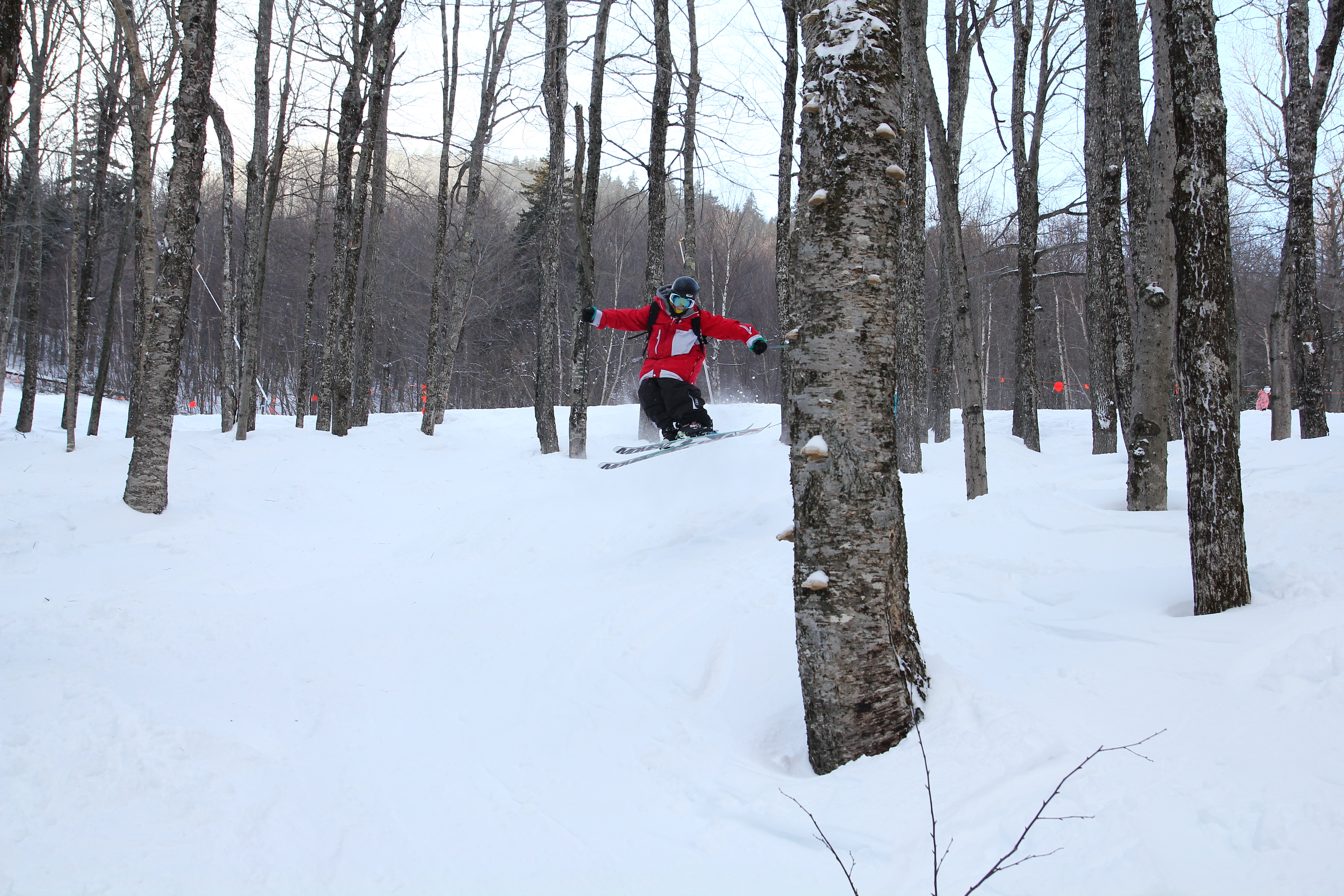 Big Shifty in the Woods