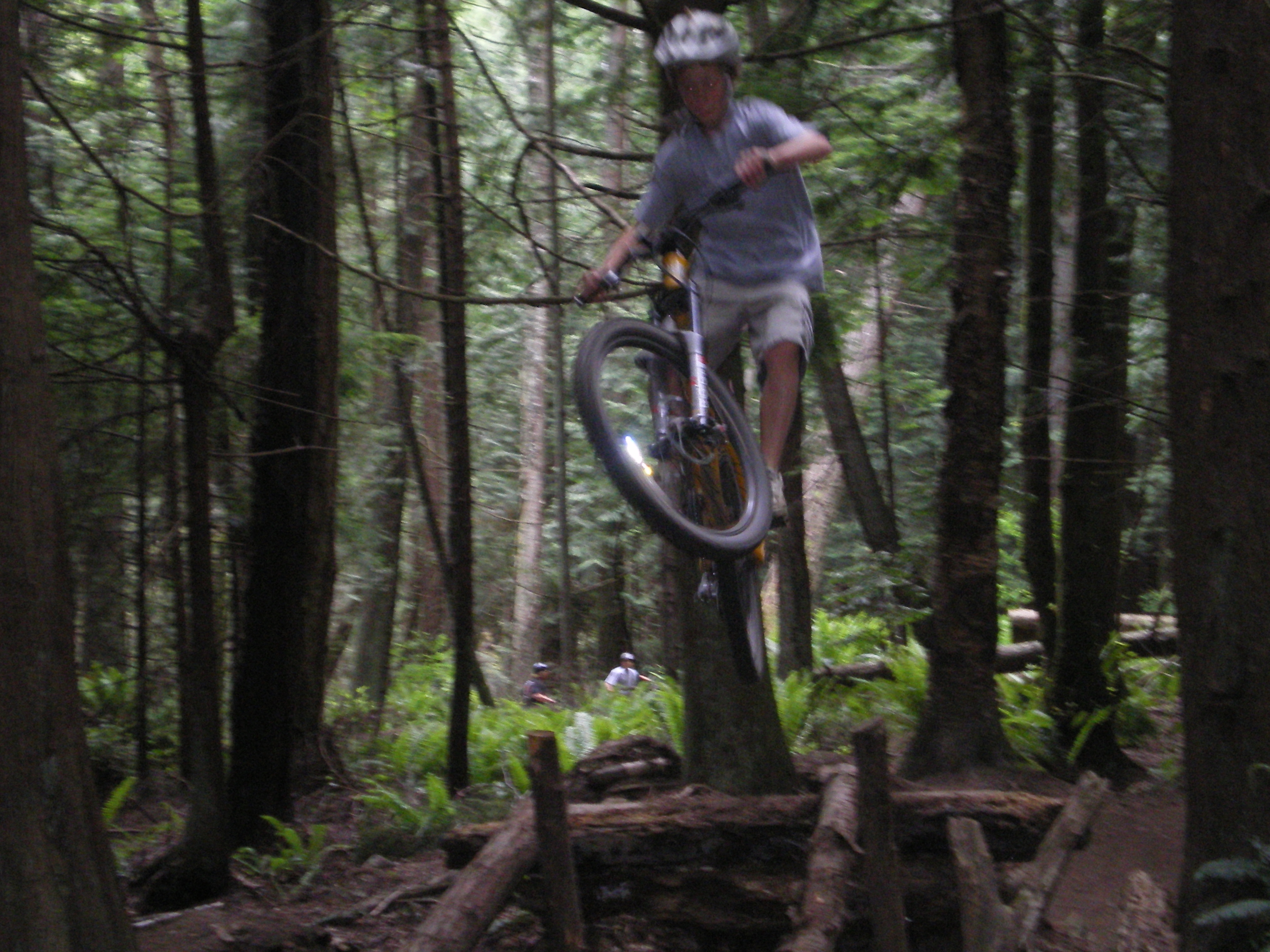 Biking in the summer