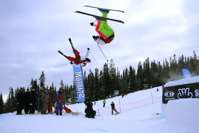 Bill bull misty at compition