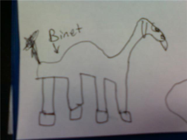 Binet the psychology camel