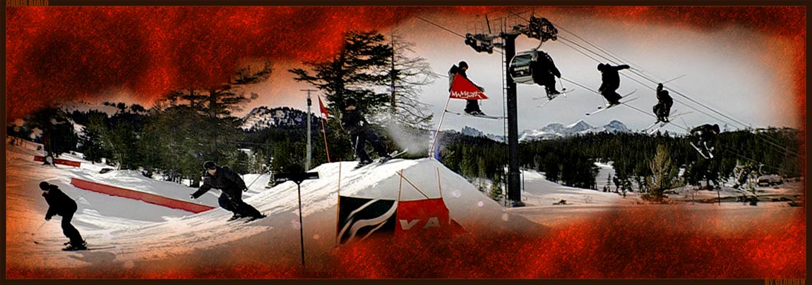 biolo switch 5 late safety seq