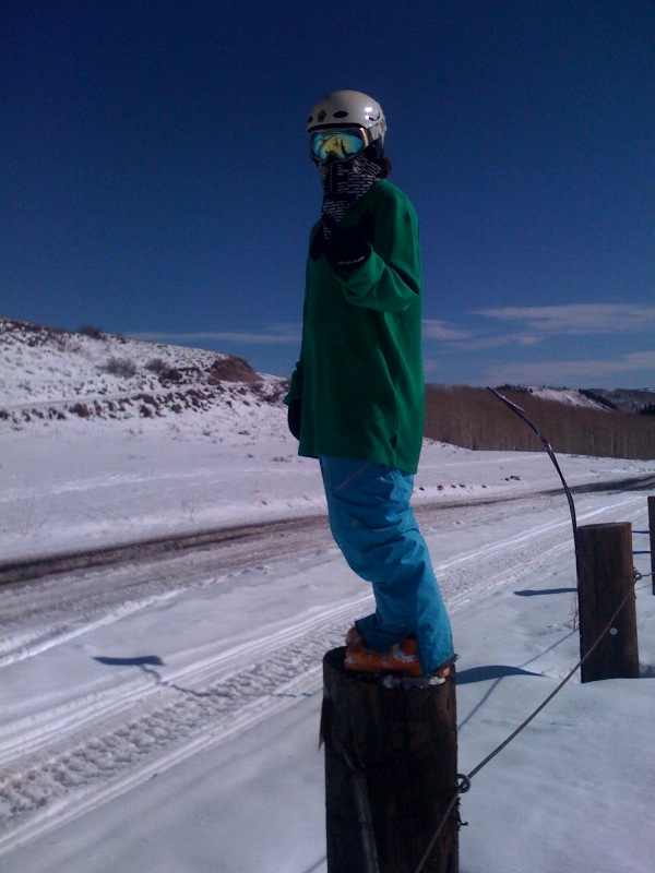 Bird to camera mang.