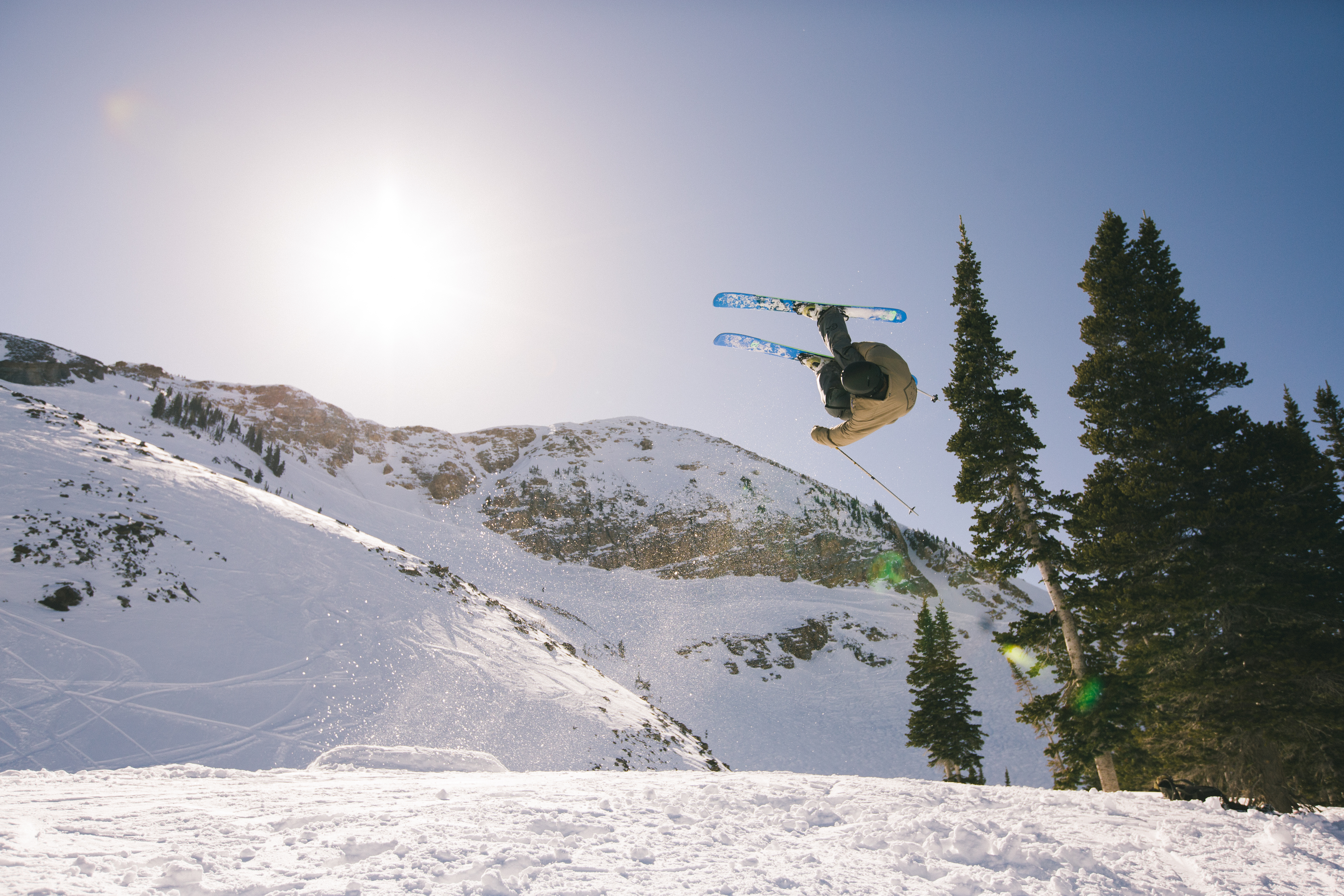 Birds in Atlanta, no falcon