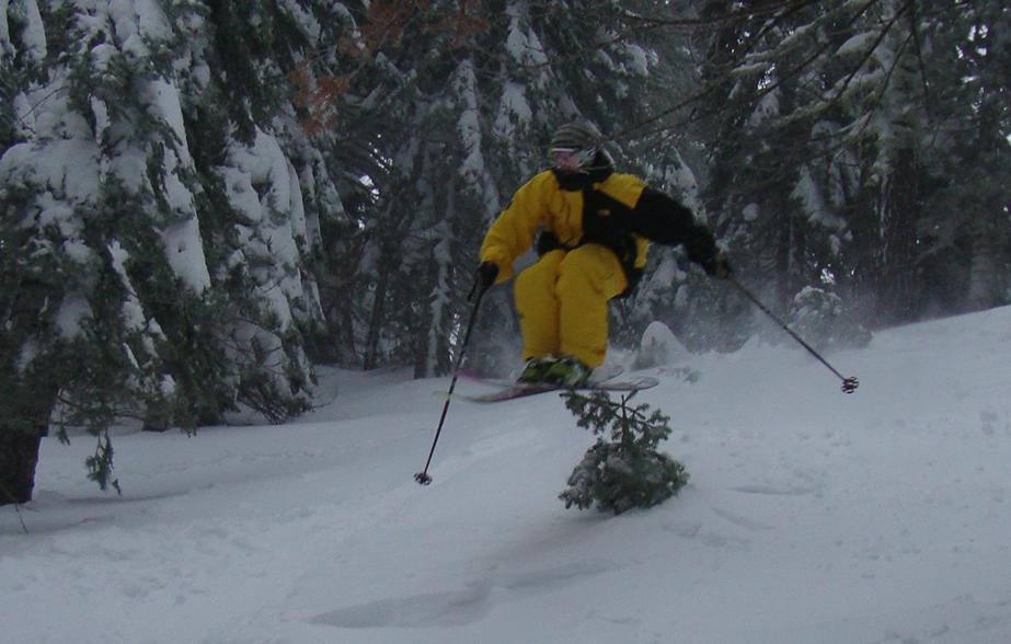 BlackAndYellowBlackAndYellowBlackAndYellowBlackAndYellow