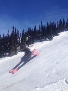Blackcomb Park Hip