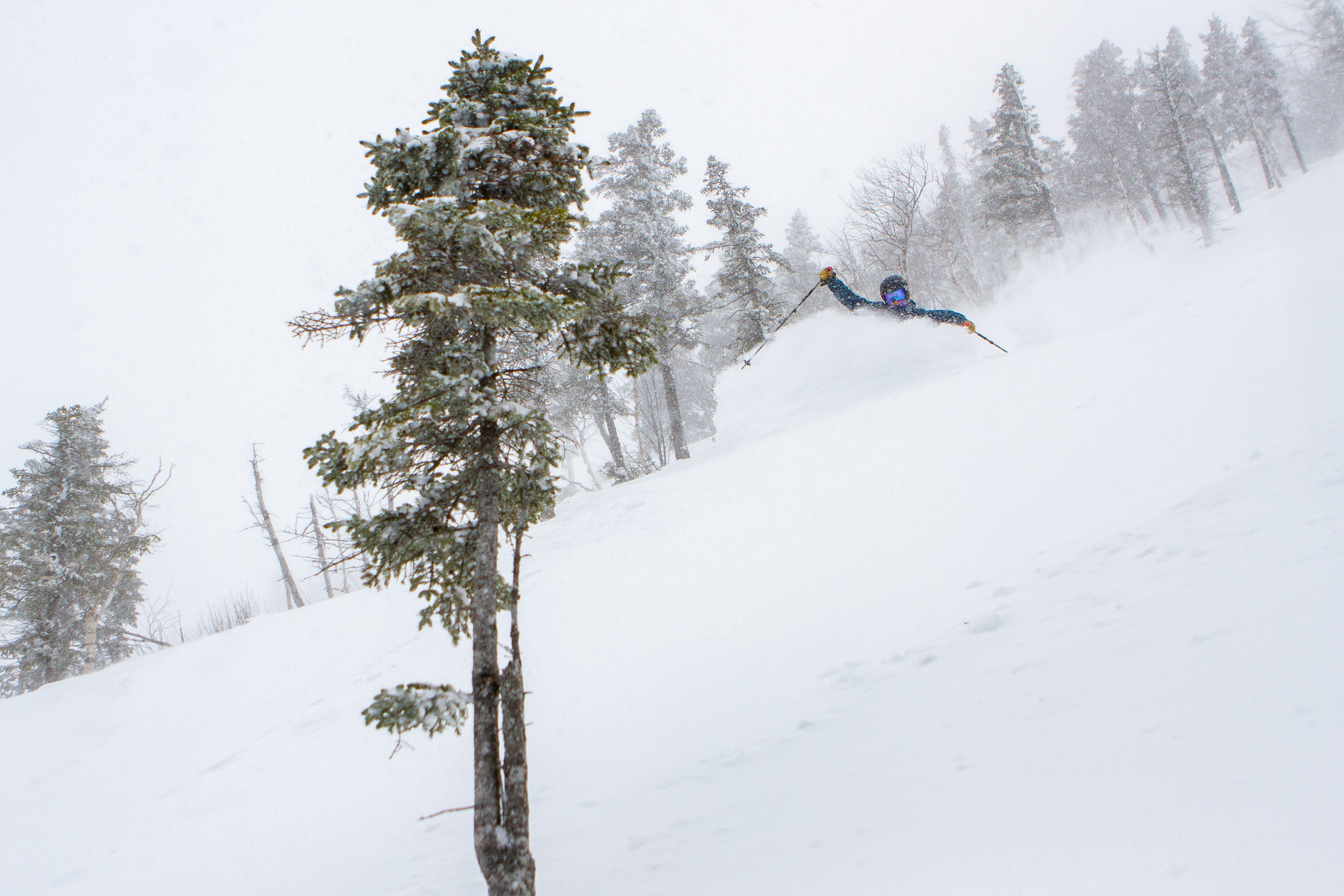 Blade Glade Pow Turns 2/28