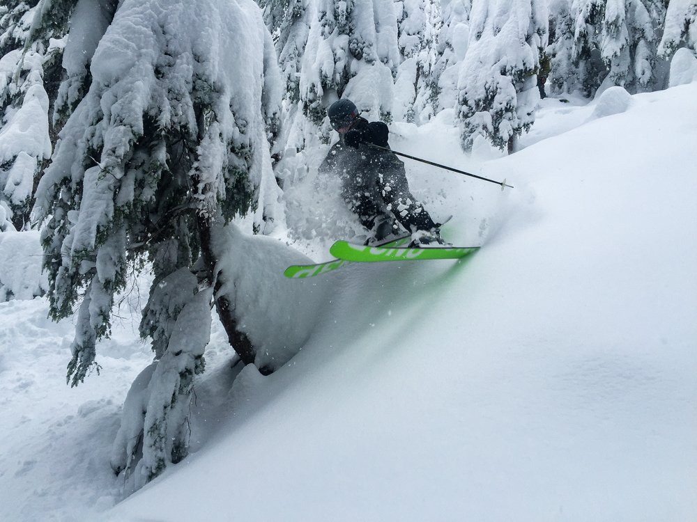 Blasting through the trees