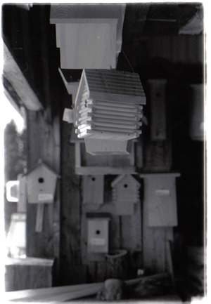blind man's birdhouse