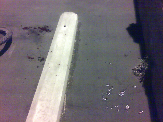 Blood and other associated carnage from my fall