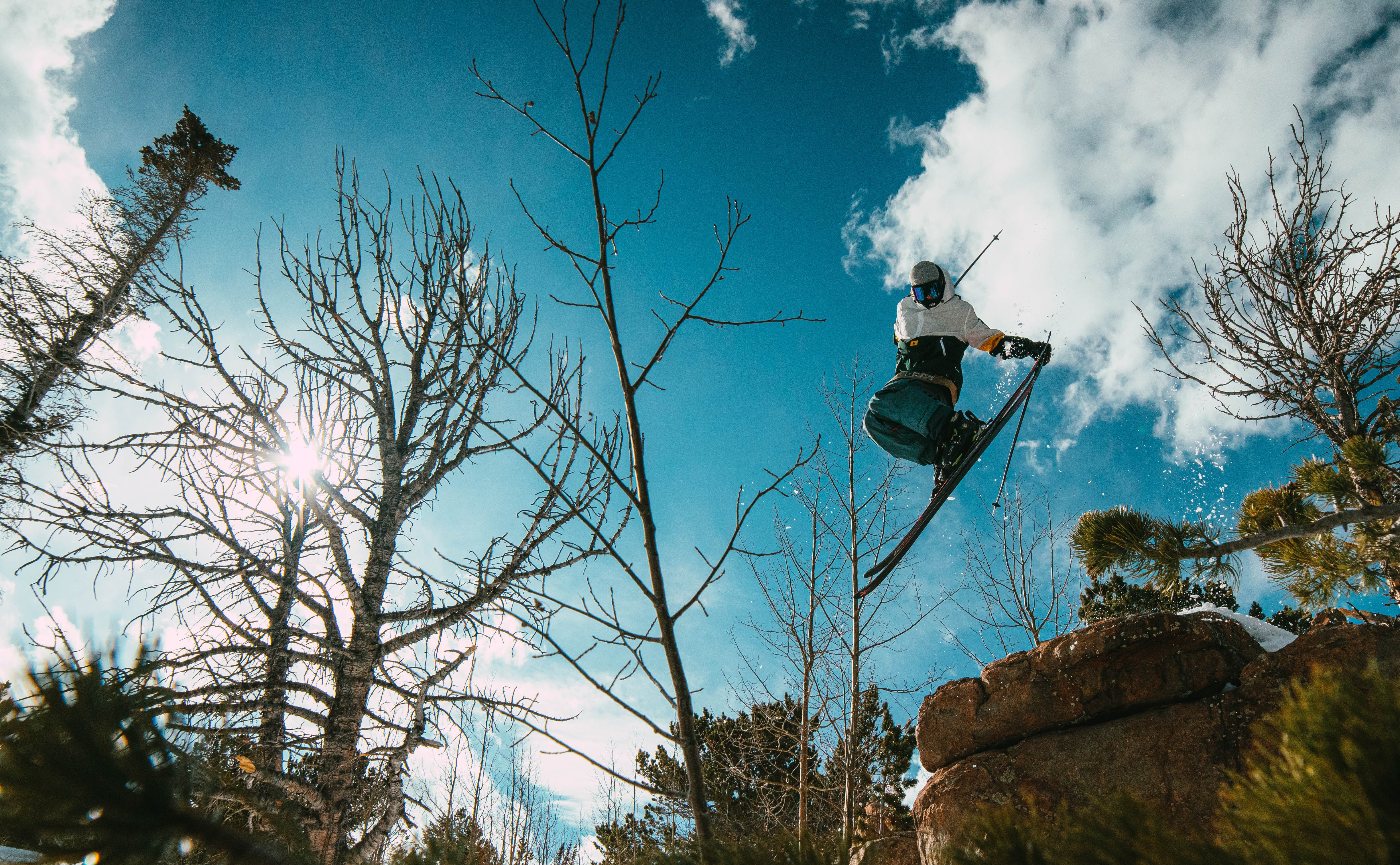 Blooont Through The Trees