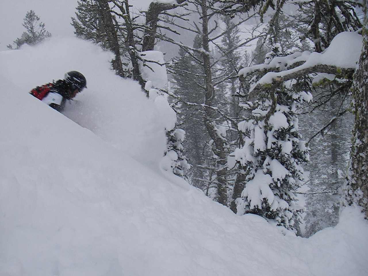 Blower Pow