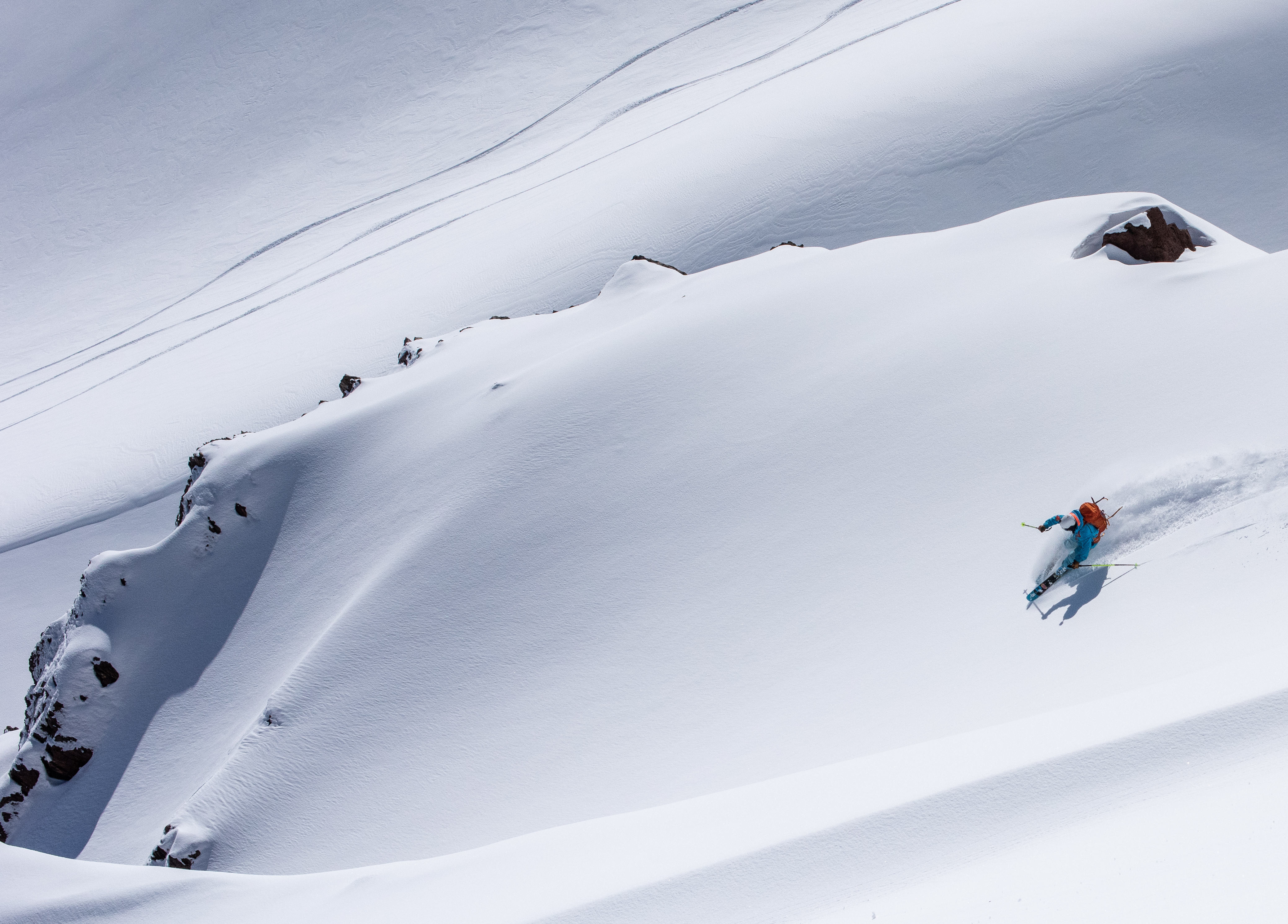 Blue Bird and Pow Chilean Style 