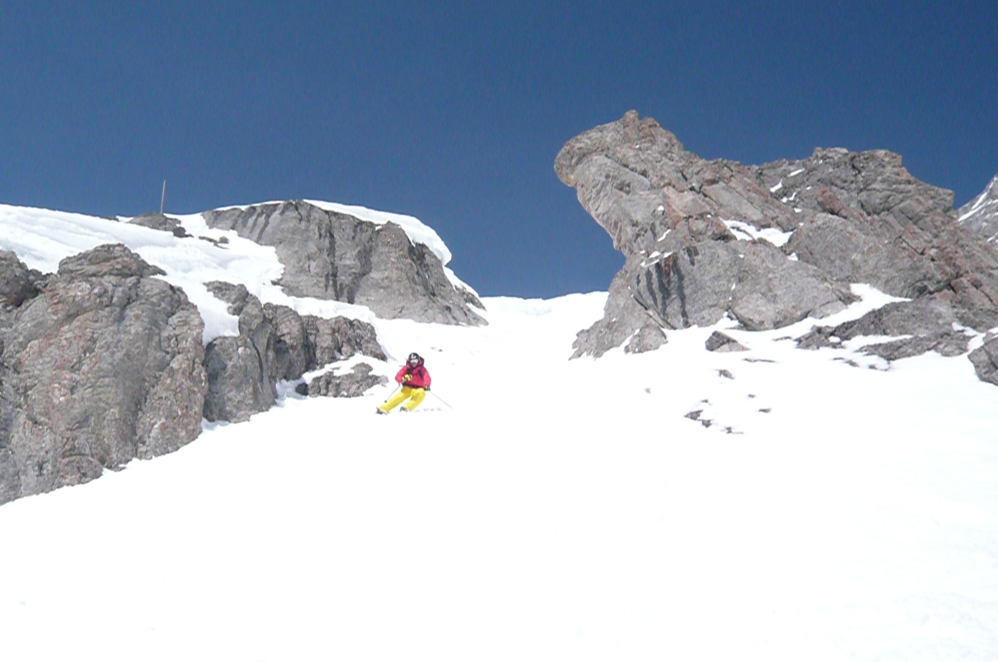 Blue Bird day on Wild Side