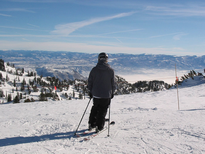 Blue skies, sunshine, what a day, let's take a walk in the...