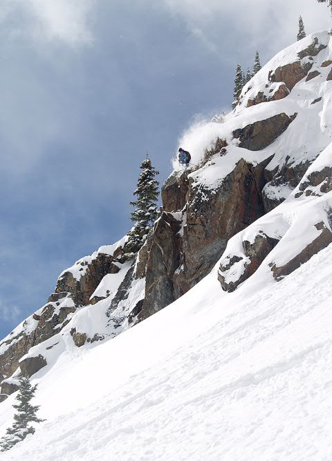 Bluebird at Berthoud
