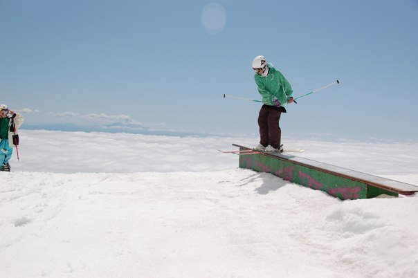 Bluebird at Timberline