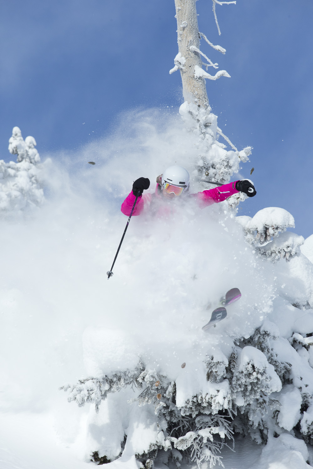Bluebird Pow at Alta