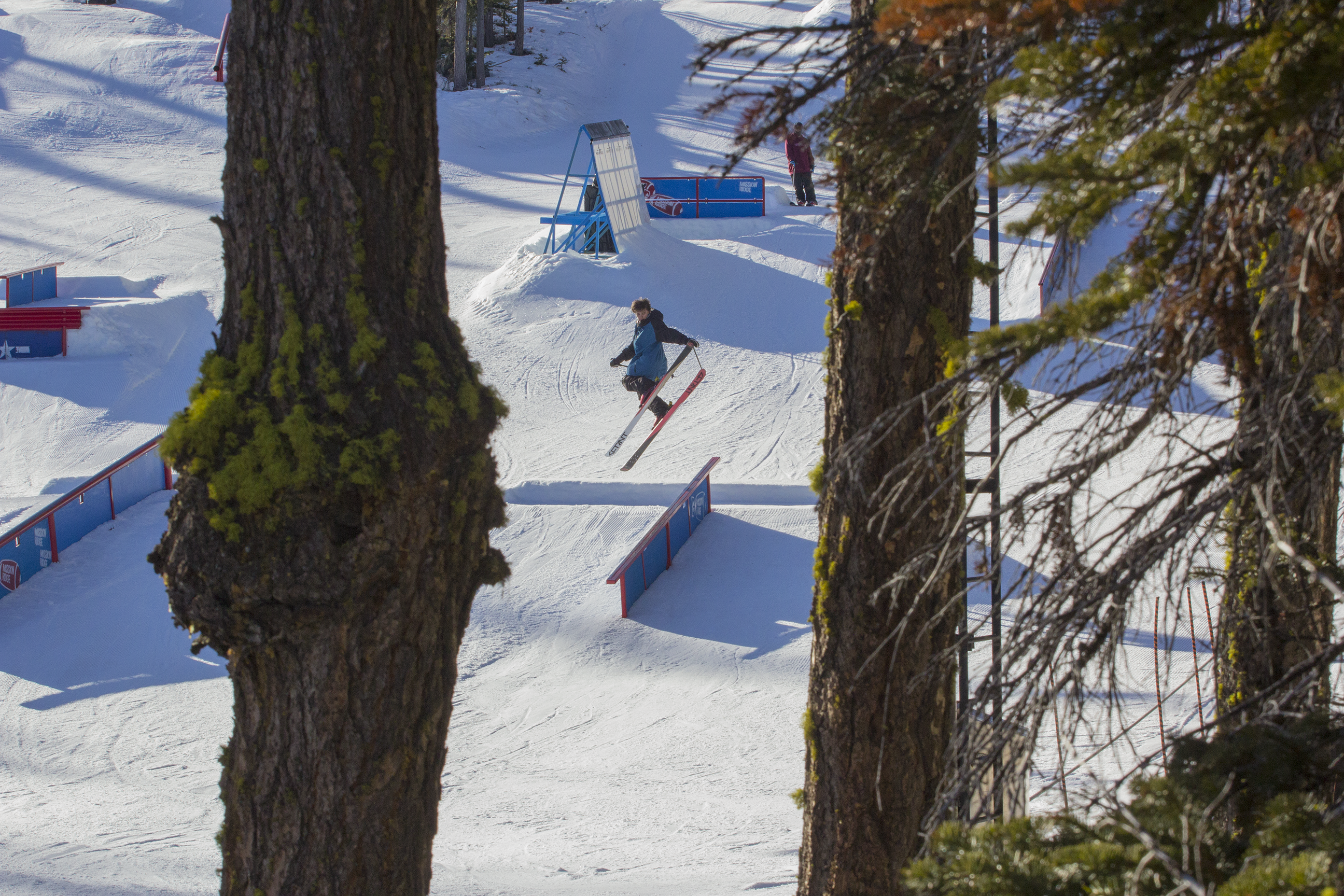 Blunts in the fridge