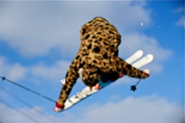 Blurry but cork 7 nose