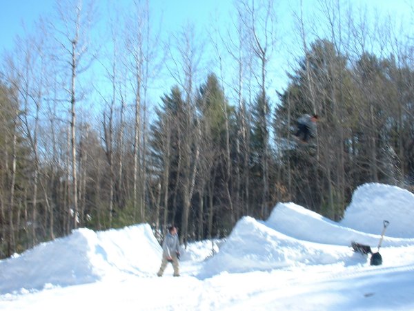 blurry, but down to the point.  backyard 3