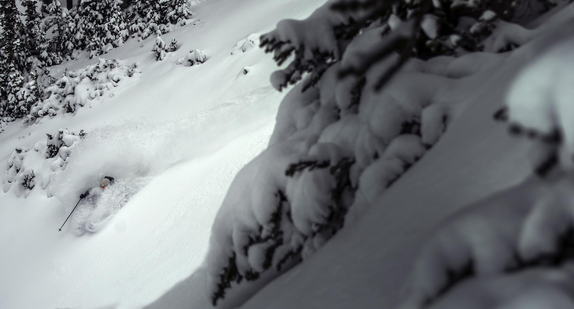 Bo getting pitted at Alta 10/30