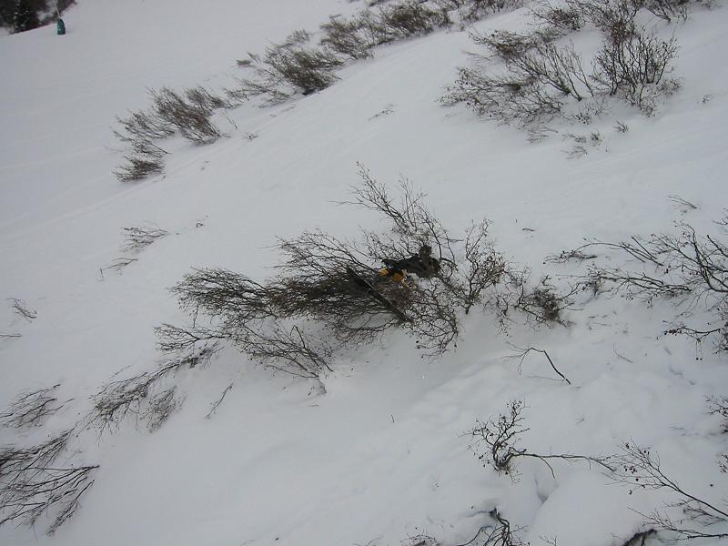 Boarder OWNED by a bush...got bark?