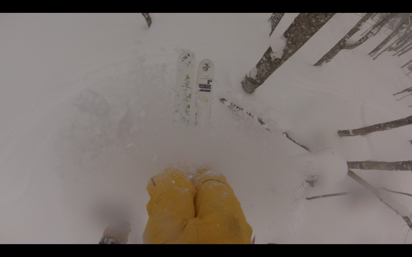 Bohemia Pillow Faceshot