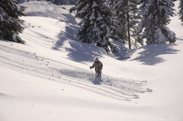 Bomb hole from previous pic