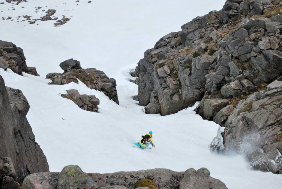 Bonnie Scottish Lines