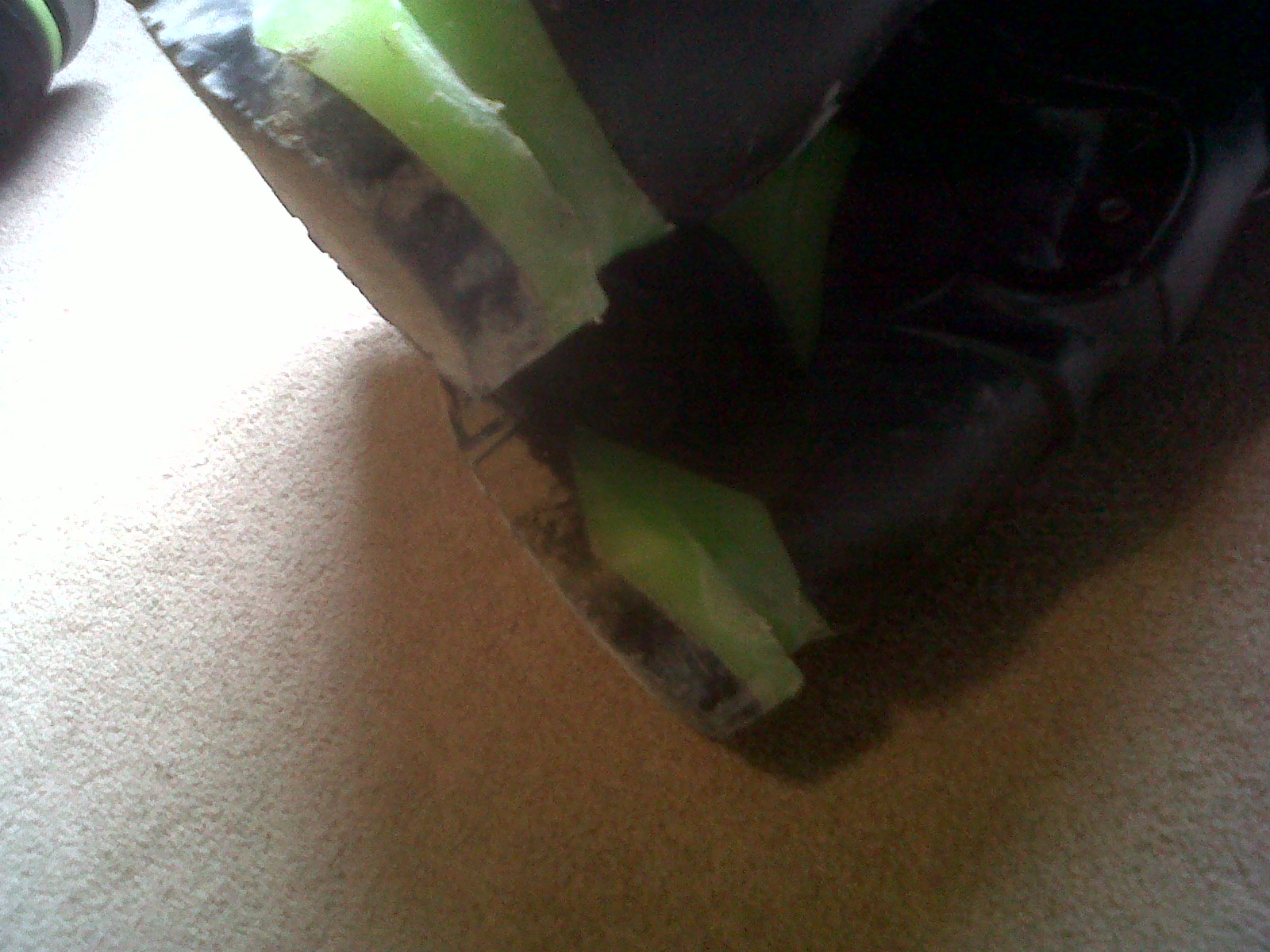 Bottom backs of tecnica agents