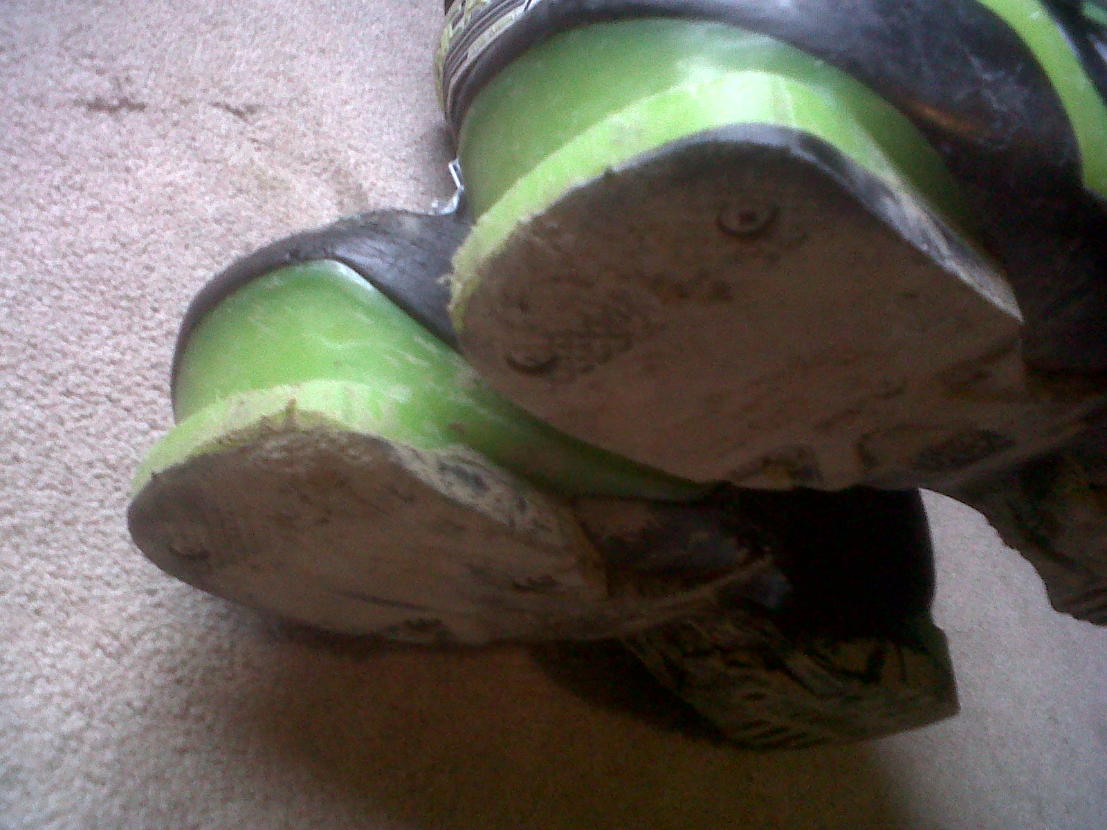 Bottom fronts of tecnica agents