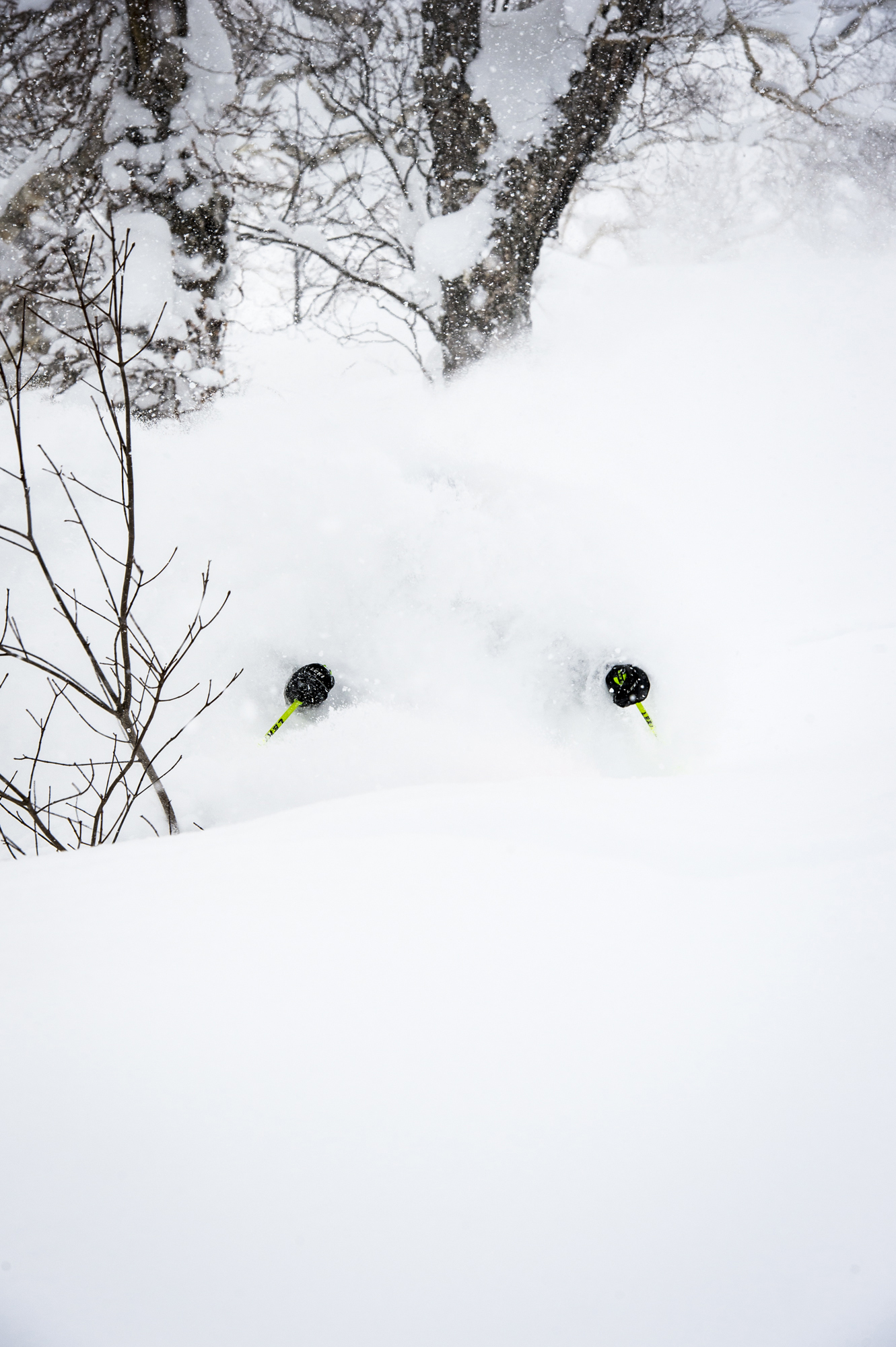 Bottomless Powder?