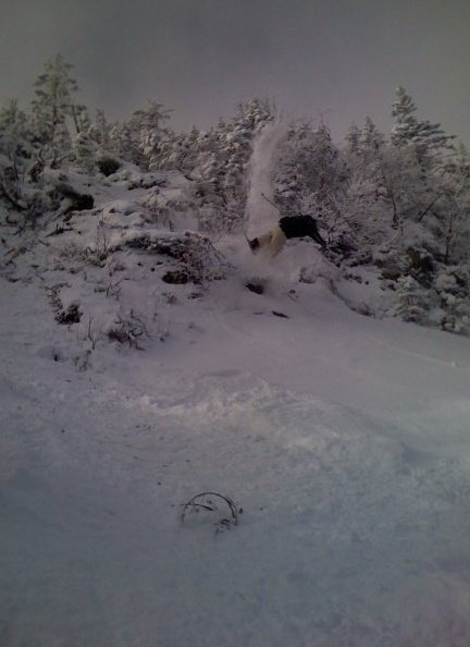 Branch under snow=