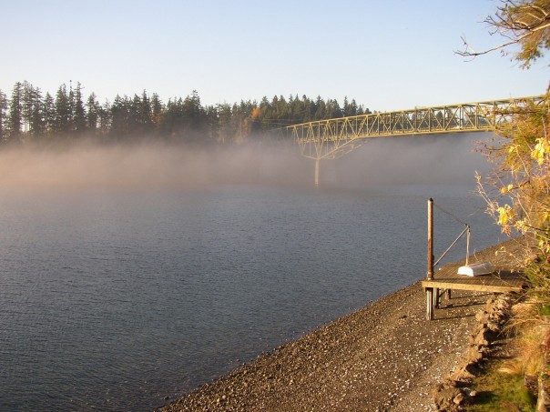 Bridge fog