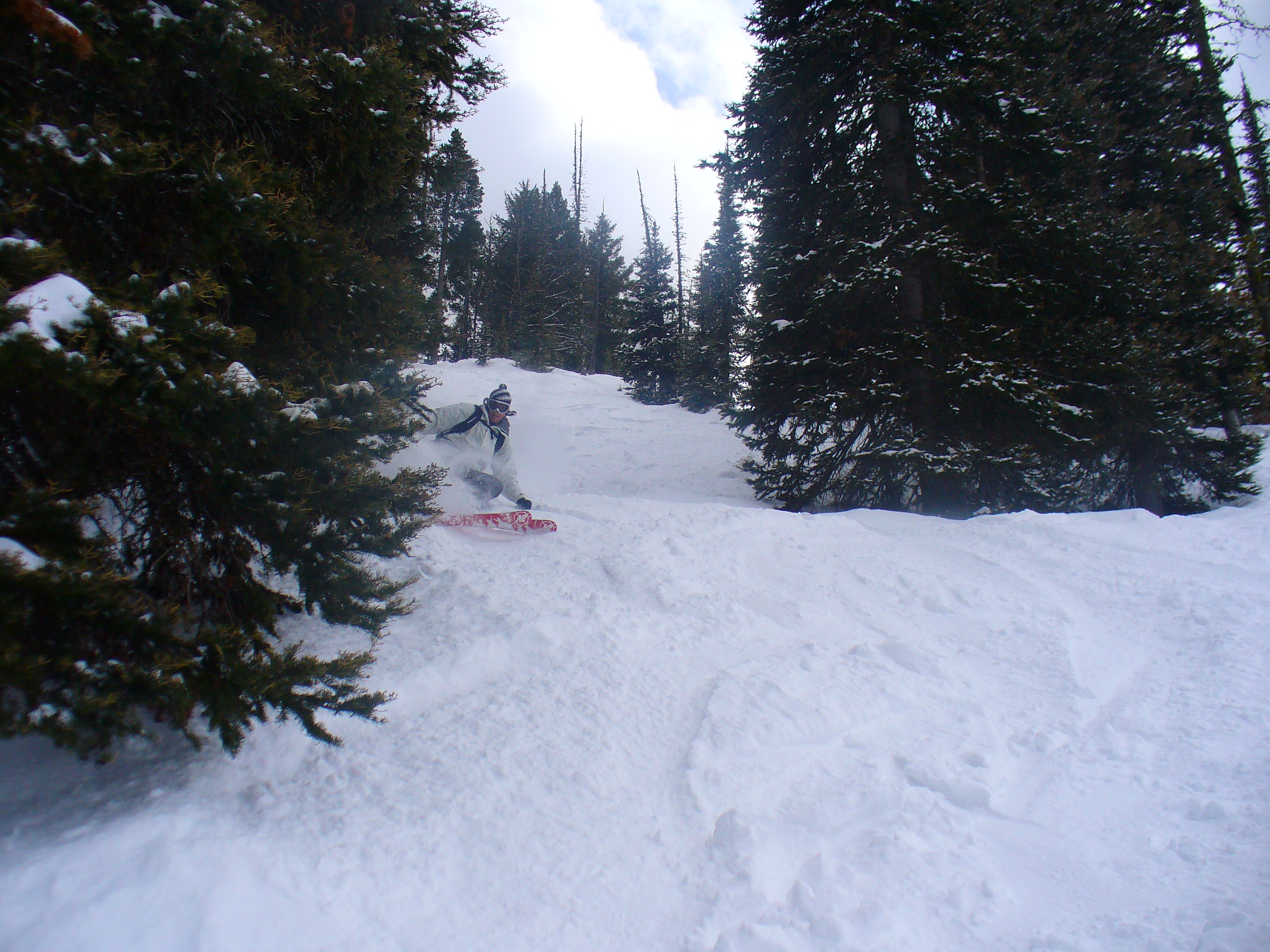 Bridger Bowl - 2 of 3