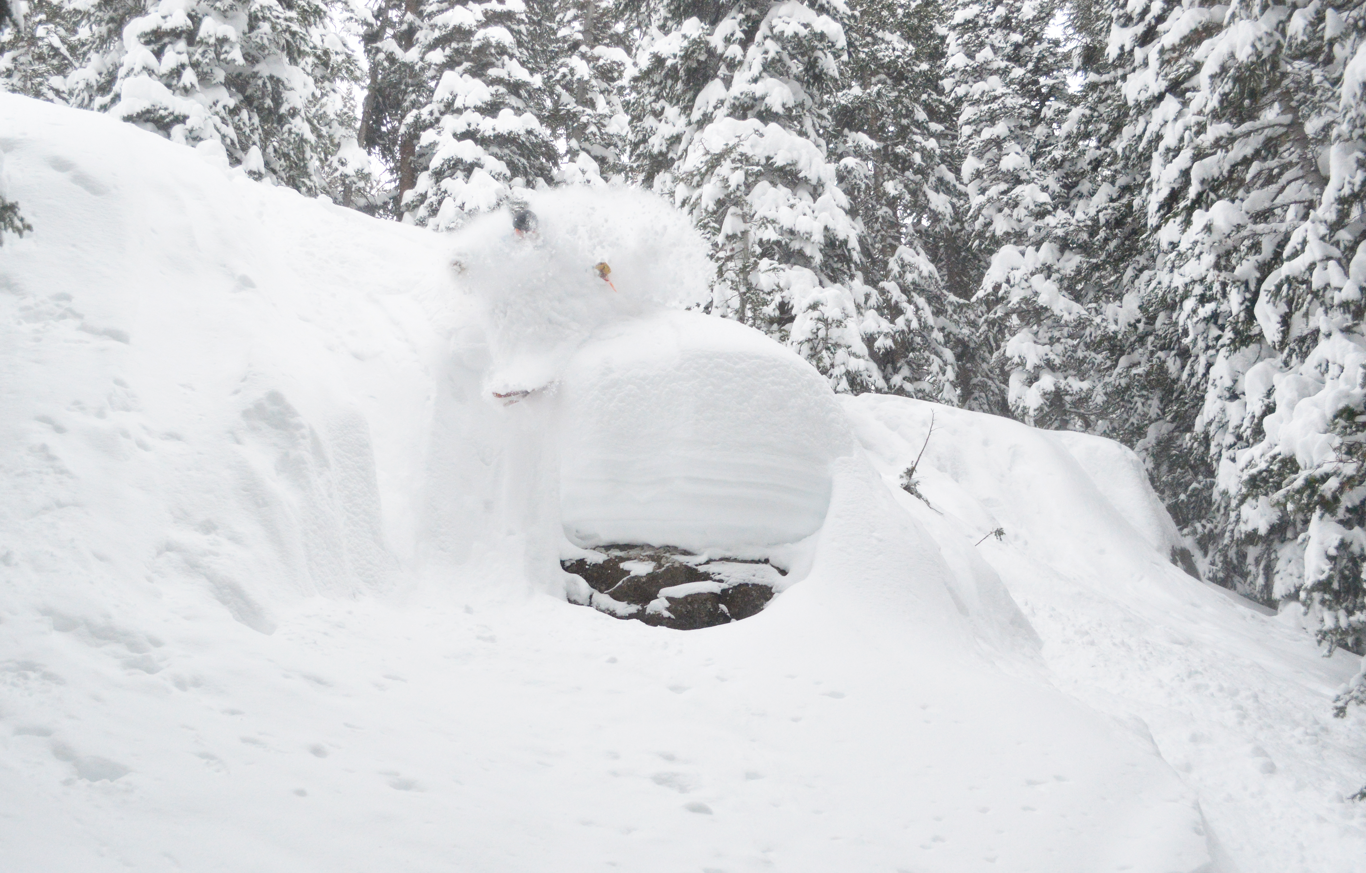 brighton pillow talk