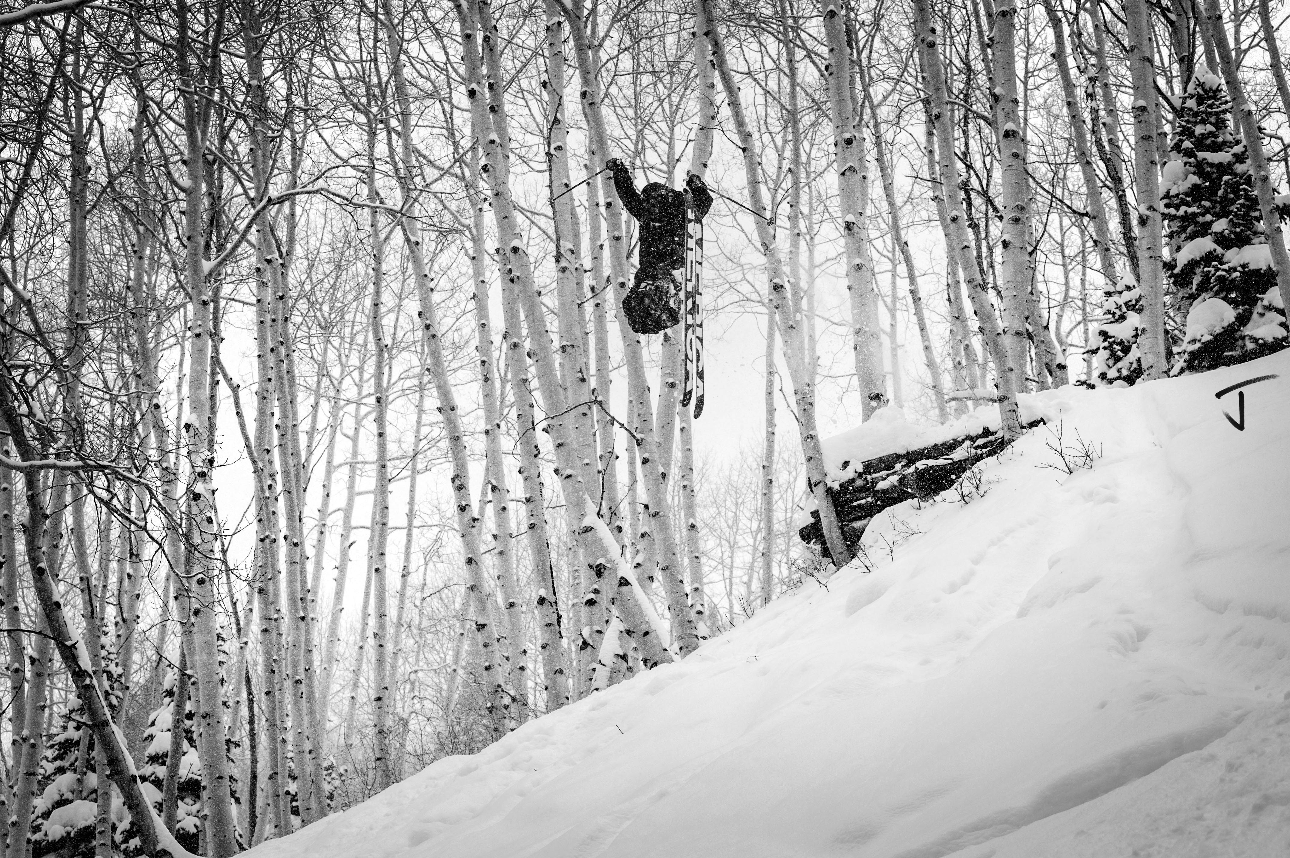 Bring back the "Jay"!