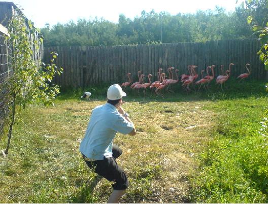 Bring it on, you pink fucks!