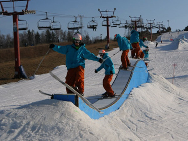 Bs switchup on the whale