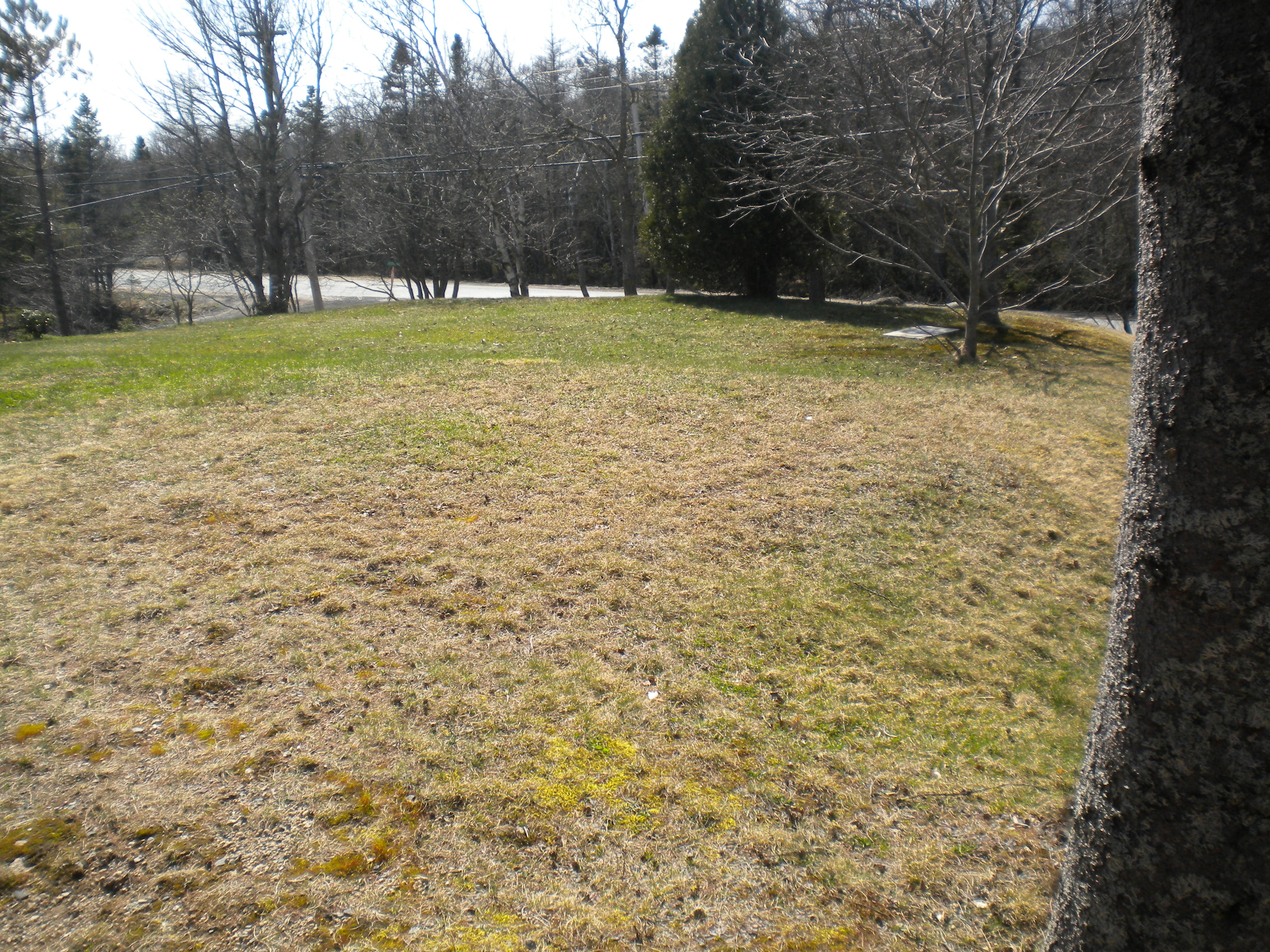 Building a Backyard Setup; Start to Finish. - Location